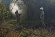 Petugas Gulkarmat padamkan kebakaran lahan kosong di Jakut