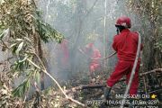 Manggala Agni padamkan karhutla di Banyuasin dan OKU