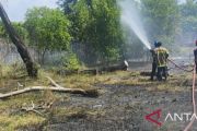 Damkar Bangka berhasil padamkan kebakaran lahan seluas 5 hektare