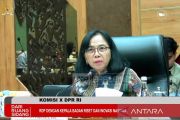 Komisi X minta BRIN perkuat peran beri rekomendasi berbasis riset