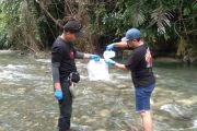 Peneliti temukan 32 spesies ikan di perairan Sungai Balantak