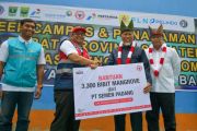 Disaksikan Menteri LH, PT Semen Padang Serahkan 3.300 Bibit Mangrove untuk Dukung Tobat Ekologis di Sumbar