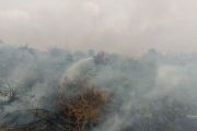 Manggala Agni berjibaku padamkan karhutla 15 hektare di Bengkalis Riau