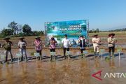 Kementan percepat tanam Oplah dan CSR demi tingkatkan produksi pangan