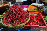 Harga pangan: Cabai rawit Rp57.250/kg, telur ayam Rp20.550/kg
