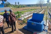 BBWS NT II membantu petani di Kupang melalui program JIAT