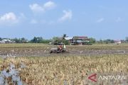 Bupati Sidrap kerahkan mobil tangki mengairi sawah