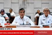 Menaker: 30 persen peserta magang nasional ditawari pekerjaan&nbsp;
