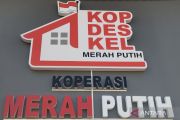 Sembilan KDKMP di Kudus disiapkan menjadi percontohan