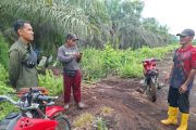 Sering dilihat warga, BBKSDA Riau tidak menemukan jejak harimau di Mengkapan Siak