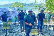 Astra Agro dorong pelestarian pesisir melalui penanaman bakau di Pasangkayu