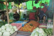 Minggu ketiga Juli harga bawang putih naik 8,89 persen