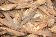 KKP: Ikan kayu-ikan asap kini dapat memanfaatkan Sistem Resi Gudang