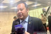 Komisi XI DPR: PFII akan dipimpin gubernur, penunjukan dari Presiden