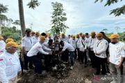 74 Kades di Bulungan tanam pohon dan buah endemik untuk anak cucu