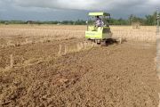 Pemkab Pasaman Barat bentuk tiga brigade pangan upaya tingkatkan produksi pangan