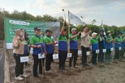 Amdatara menanam ratusan mangrove di Semarang perkuat DAS
