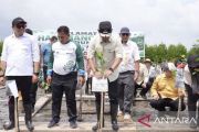 Pemprov Kaltim perkuat komitmen dukung pelestarian mangrove wilayah pesisir