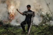 Pemkot Palangka Raya pastikan tindak tegas pelaku penyebab karhutla