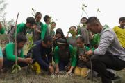 PT Timah hijaukan 78,21 hektare lahan bekas tambang timah