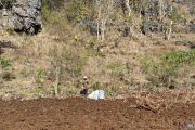 DPRD Gunungkidul ajukan Raperda perlindungan dan pemberdayaan petani