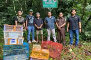 Polres Agam-BKSDA Sumbar lepasliar barang bukti ratusan burung