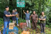 Polres Agam-BKSDA Sumbar lepasliar barang bukti ratusan burung (Video)