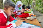 Melukis di tengah Hutan Mangrove, menumbuhkan kepedulian lingkungan