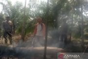 BPBD OKU padamkan kebakaran 1,5 hektare lahan sawit di Lubuk Batang