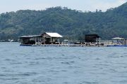 Pemprov Lampung sebut penataan ruang laut berkelanjutan dukung ekonomi biru