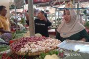 Harga bawang putih kembali melonjak