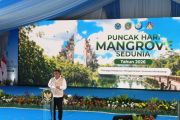 Minister expects mangrove rehabilitation to drive green economy