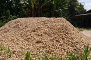 PLN EPI percepat ekosistem biohidrogen