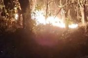 Waspada karhutla di Hutan Bacukiki Parepare