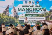 Mangrove rehabilitation essential to maintain fisheries productivity