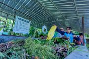 AMMAN promotes school-based waste management in West Sumbawa