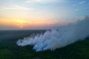 Kebakaran lahan di Kotim rambah kebun sawit warga