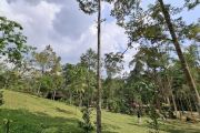 BRMP sebut bantuan bibit durian sasar dua daerah di Lampung
