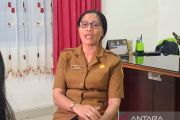 Pemprov NTT membangun kebun bibit unggul rumput laut tekan ice-ice