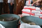 Pemkab Pasaman Barat pastikan beras mencukupi sampai Agustus