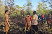 Dishut tindaklanjuti instruksi Gubernur Kalteng, gerak cepat tangani karhutla