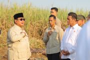 Indonesia orders sugar processors to own local cane plantations
