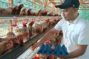 Ini usaha cuan yang dilakukan BUMG di Pidie