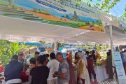 DJPb: Belanja pengendalian inflasi efektif menekan inflasi di NTT