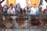 Entaskan kemiskinan ekstrem, industri jasa keuangan dukung Desa Berdaya NTB