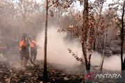 BPBD Muara Enim: Karhutla di Sungai Rotan masih berasap