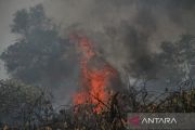 Pemadaman kebakaran hutan dan lahan di Palangka Raya