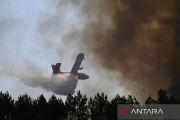 Peluru era Perang Dunia II meledak dalam kebakaran hutan di Prancis