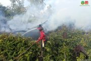Manggala Agni bantu padamkan 12,2 hektar kebakaran di Pelalawan