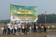 Pemkab Lebak-Kementan tanam serempak, dukung swasembada pangan